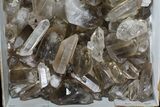 Lot: Lbs Smoky Quartz Crystals (-) - Brazil #77823-2